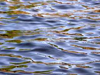 Ocean Waves